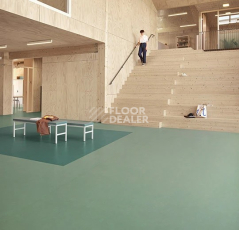 Forbo Marmoleum Solid Concrete 3750 pine forest фото 2 | FLOORDEALER